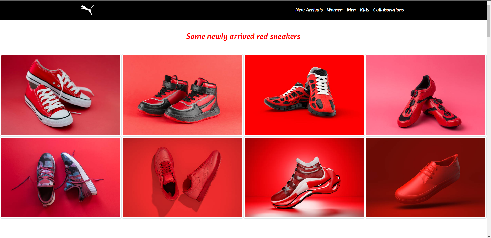 PUMA Website